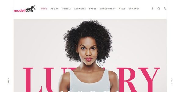 Modelicom (TemplateMonster)