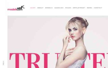 Modelicom (screenshot desktop)