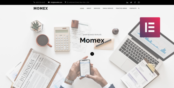Momex (TemplateMonster)