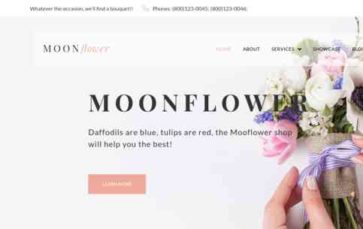 Moonflower (screenshot desktop)