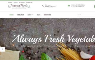 Natural Food (screenshot desktop)