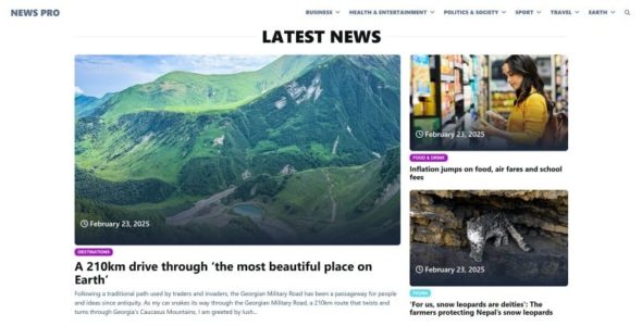 News Pro (TemplateMonster)