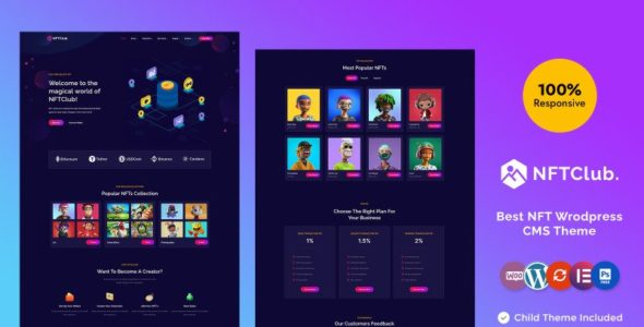 NFTClub (TemplateMonster)