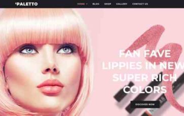 Paletto (screenshot desktop)