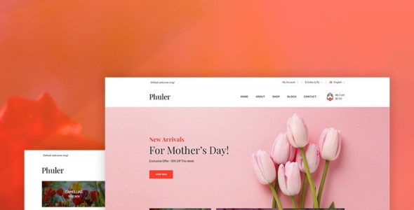 Phuler (TemplateMonster)