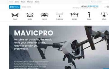 Pictrum (Zemez) - (screenshot desktop)