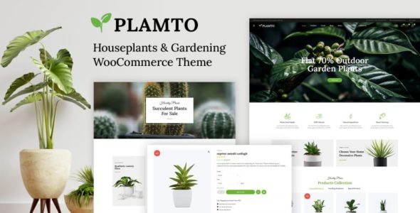 Plamto (TemplateMonster)