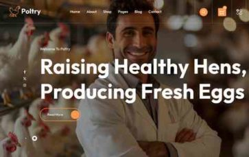 Poltry (screenshot desktop)