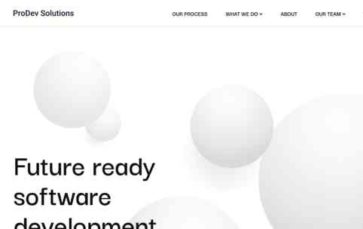 ProDev Solutions (screenshot desktop)