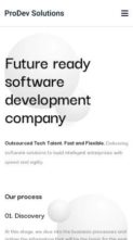 ProDev Solutions (screenshot mobile)