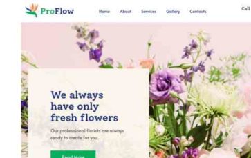 ProFlow (screenshot desktop)