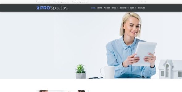 Prospectus (TemplateMonster)