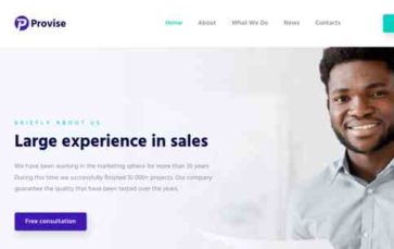 Provise (screenshot desktop)