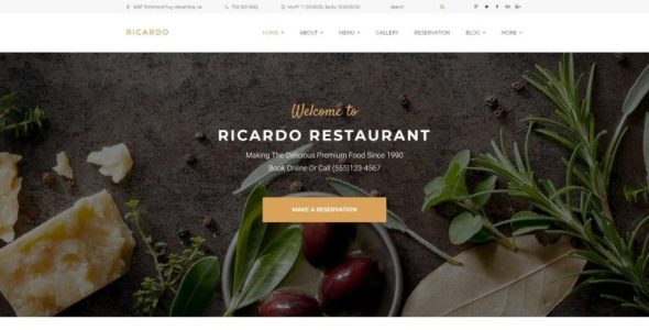 Ricardo (TemplateMonster)