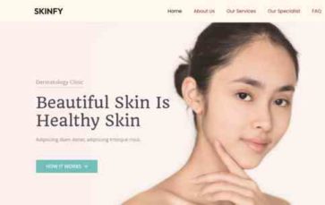 Skinfy (screenshot desktop)