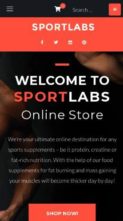 SportLabs (screenshot mobile)