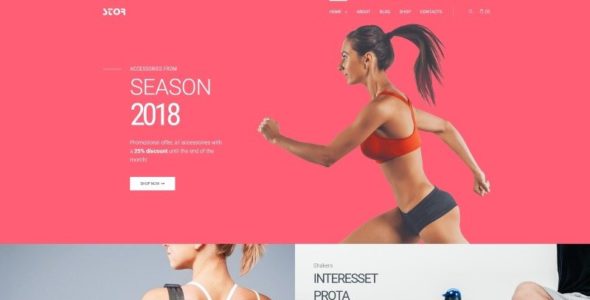 Stor (TemplateMonster)