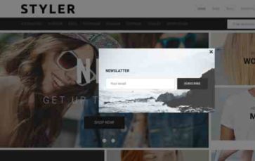 Styler (Zemez) - (screenshot desktop)