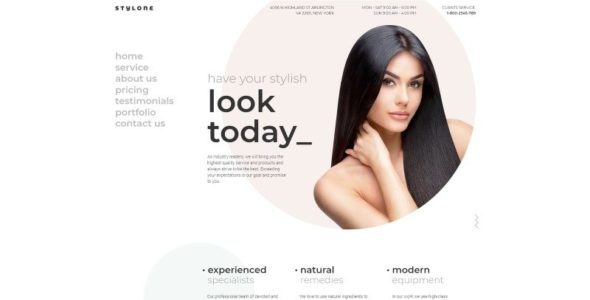 Stylone (TemplateMonster)