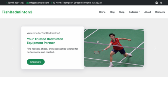 TishBadminton3 (TemplateMonster)