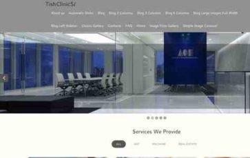 TishClinic5 (screenshot desktop)