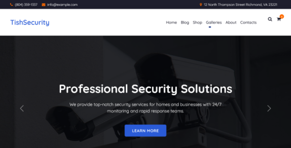TishSecurity (TemplateMonster)