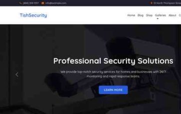 TishSecurity (screenshot desktop)
