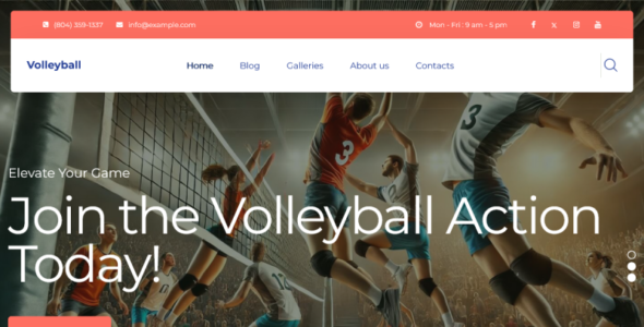 TishVolleyball (TemplateMonster)