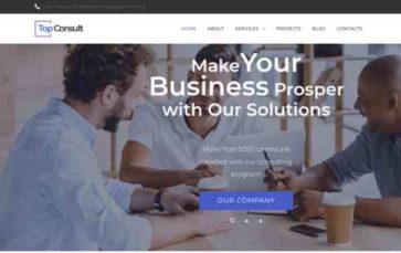 Top Consult (screenshot desktop)