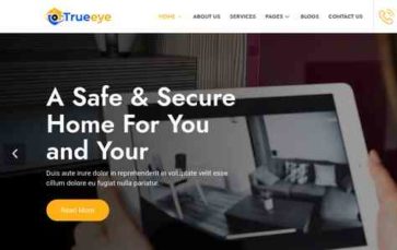 Trueeye (screenshot desktop)