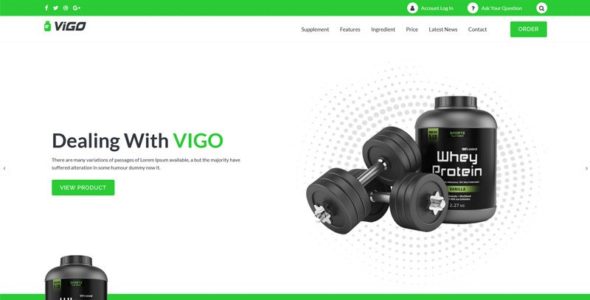 Vigo (TemplateMonster)