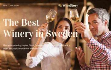 WineStory (screenshot desktop)