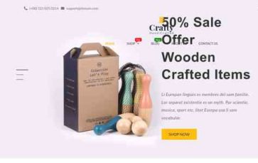 WooVina Pro (screenshot desktop)