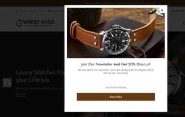 WristWise (screenshot desktop)