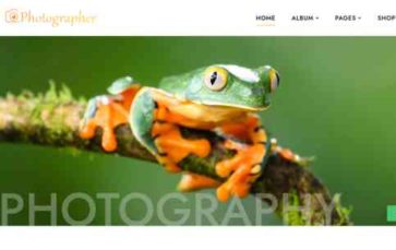 Photographer (Templatic) (screenshot desktop)