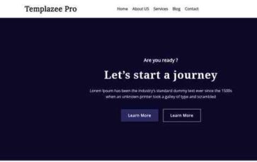 Templazee Pro (screenshot desktop)