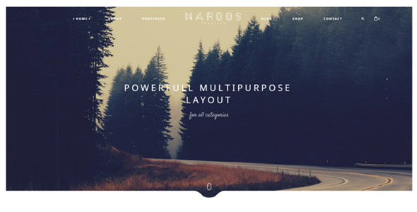 Narcos (TeslaThemes)