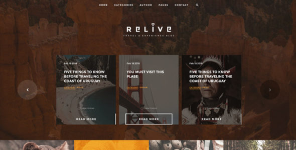 Relive (TeslaThemes)