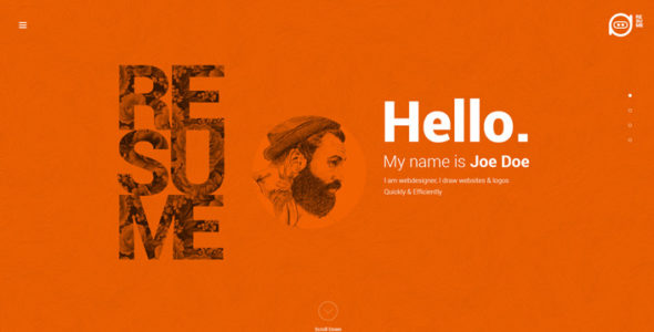 Resume (TeslaThemes)