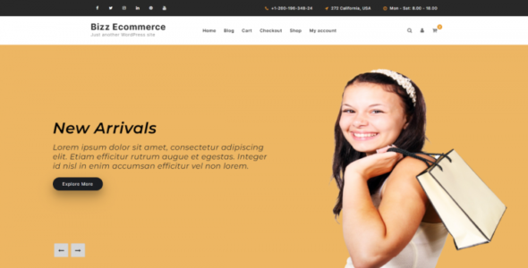 Bizz Ecommerce Pro (testerwp)