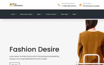 Bizz Ecommerce Pro (screenshot desktop)