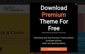 Bizz Ecommerce (screenshot desktop)