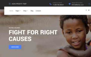 Non Profit TWP (screenshot desktop)