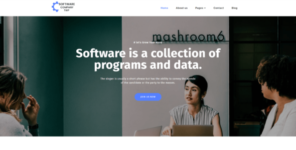 Software Elementor (testerwp)