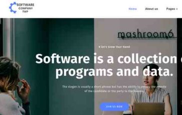 Software Elementor (screenshot desktop)