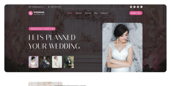 Wedding Celebration Pro (The Alpha Blocks)