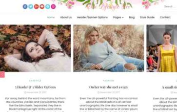 Chic Lifestyle Pro (screenshot desktop)