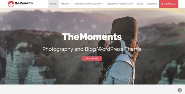 TheMoments Pro (The Bootstrap Themes)
