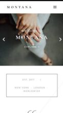 Montana for Divi (screenshot mobile)