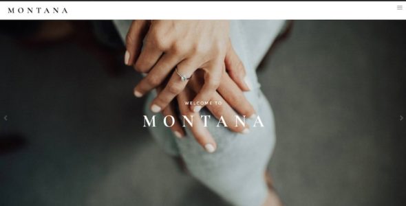 Montana for Elementor (The Design Space.co)